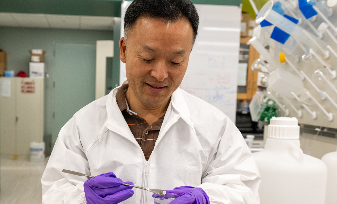 A person in a white lab coat and purple gloves examines a sample in a Petri dish